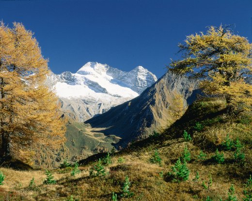 © TV Zillertal Mitte