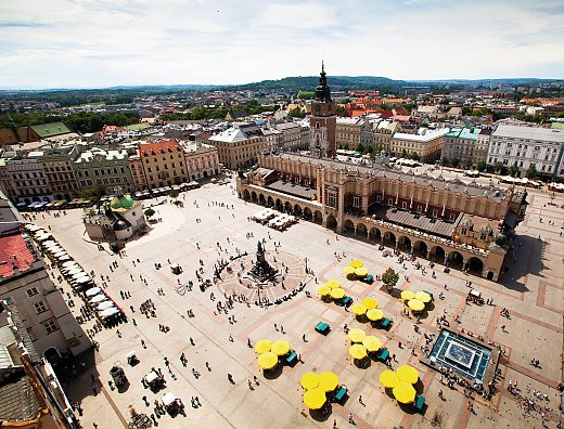 © Dmitry Berkut - shutterstock.com