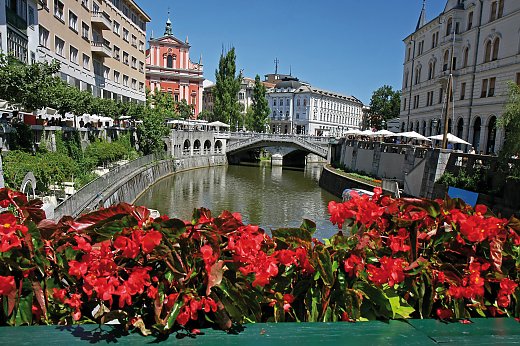 © Dan Tautan-shutterstock.com/2013