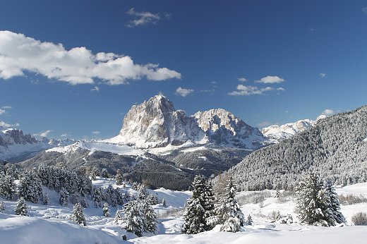 © photostefan - fotolia.com