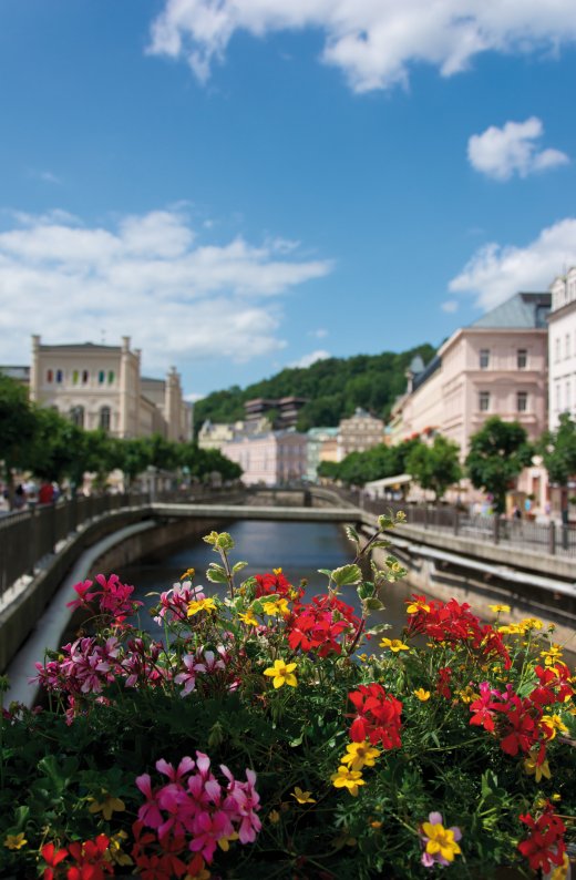 © huspi-fotolia.com