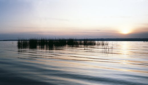 © TMV/Eisenack