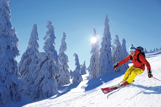 © samott-fotolia.com