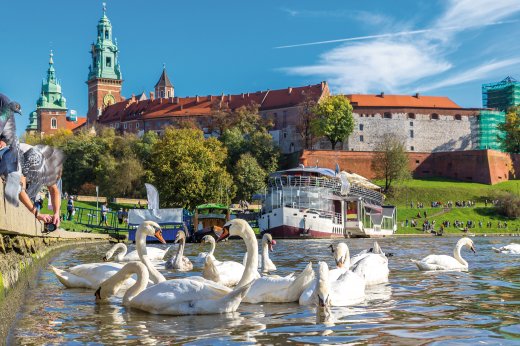 © Sergii Figurnyi-fotolia.com
