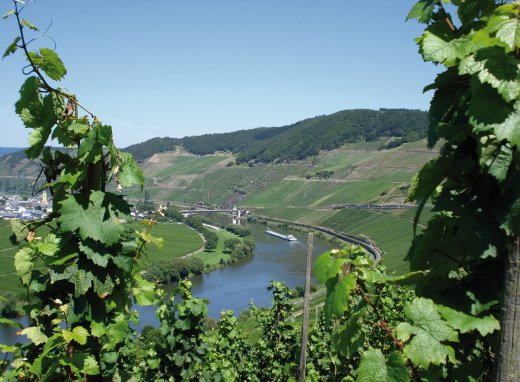 © Trier Tourismus und Marketing GmbH