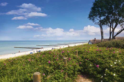 © Martin Schlecht-fotolia.com