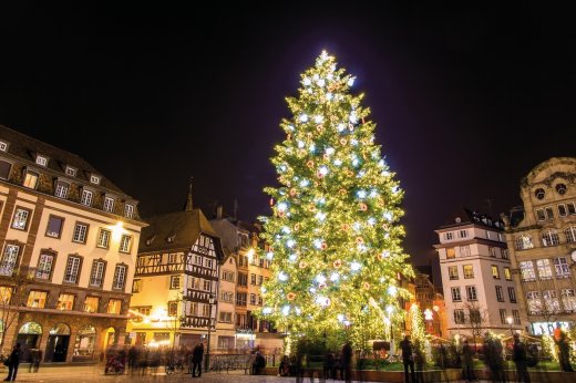 © Leonid Andronov-fotolia.com
