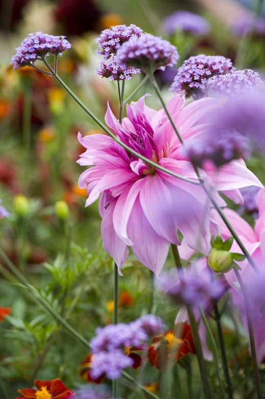 © Floriade EXPO 2022