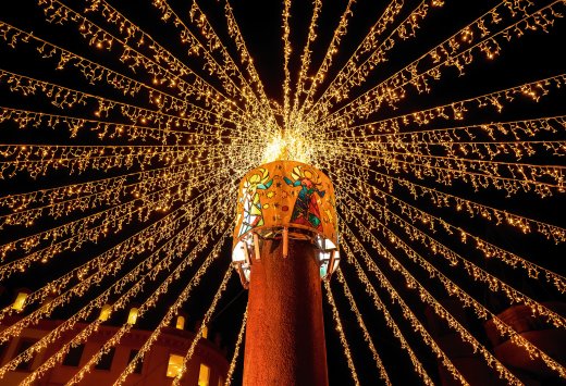 © Comofoto - stock.adobe.com