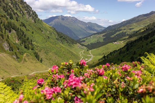 © Erste Ferienregion im Zillertal
