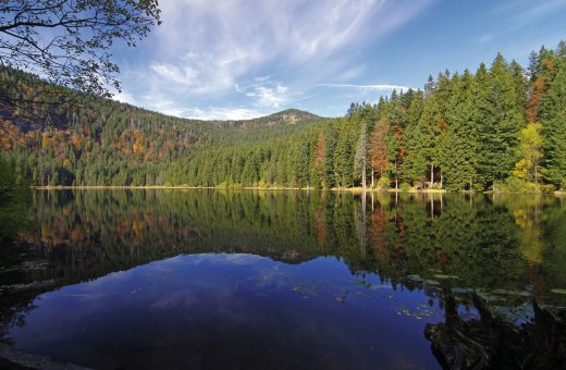 © Bergfee-fotolia.com