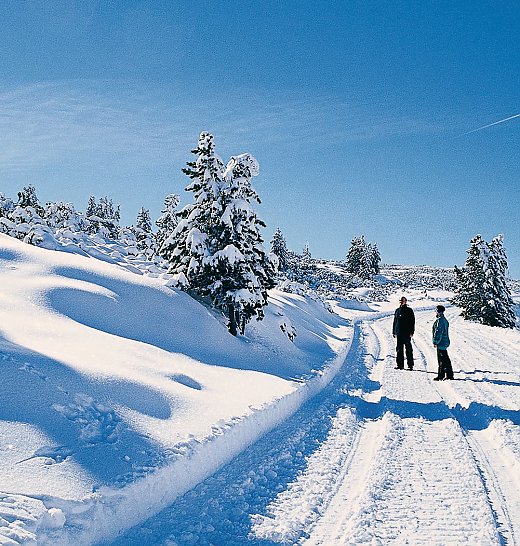 © TV Ritten Sarntal
