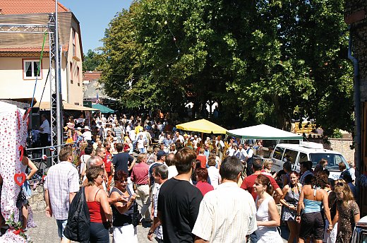 © Touristikverein Verbandsgemeinde Guntersblum e.V.